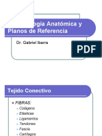 2 Terminologia Anatomica y Planos de Referencia