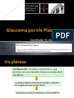 5.1 Glaucoma Por Iris Plateau