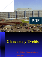glaucomay uveitis