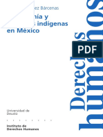 Lopez Barcenas Derechos Indigena