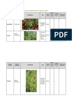 Anexos - Listado de Especies - Propuesta para La Rearborización Del Parque de La Sabana