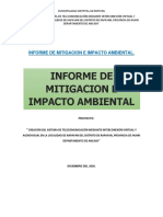 Informe de Mitigacion e Impacto Ambiental