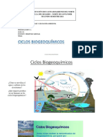 Biogeoquímicos Ciclo Iv