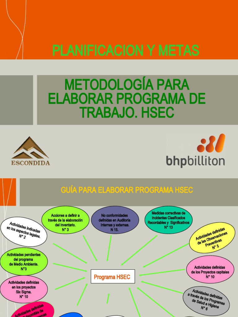 Guía para Programa HSEC: Planificación y Metas | PDF