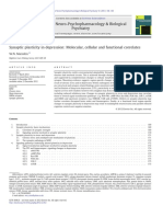 Synaptic Plasticity in Depression - Molecular, Cellular and Functional Correlates (Plasticidade Sináptica)