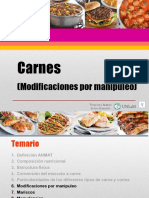 UNIDAD 10 Carnes (Modificaciones) 1 de 3