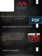 Brigadas de Proteccion Civil