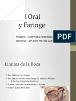 2.- Cavidad Oral y Faringe OTORRINO-EMQ