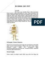 Sistem Rangka Dan Otot