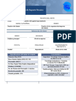 Formato de Soporte Técnico