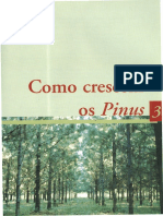 03_Como_crescem_os_Pinus