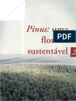 Pinus: uma floresta sustentável e rentável