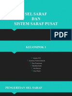 PPT Fisiologi - Sel Saraf - Kelompok1