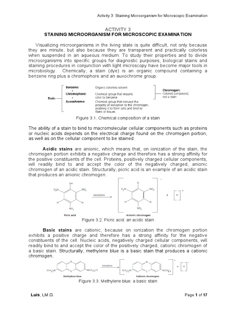 Activity 3 Staining Microorganism For Microscopic Examination Pdf
