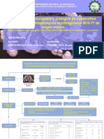 Metabolitos de Interes Biotecnologicos (Primarios y Secundarios) - Elaboración Del Mapa Conceptual