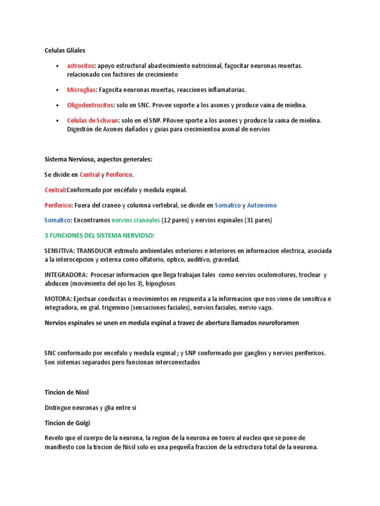 Examen Parcial Neurociencias 1 | PDF | Neurona | Sinapsis