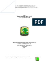 Download Hama Dan Penyakit Pada Tanaman Kakao by Aswin Fajri SN52879121 doc pdf
