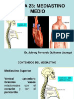 Teoría 23-24, Anatomía Humana - Mediastino Medio y Posterior (Martes 27.1.15) Chorrillos - Upsjb - Dr. Johnny Fernando Quiñones Jáuregui