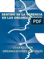 Liderazgo en Organizaciones Virtuales