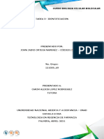 TAREA 3 Identificación