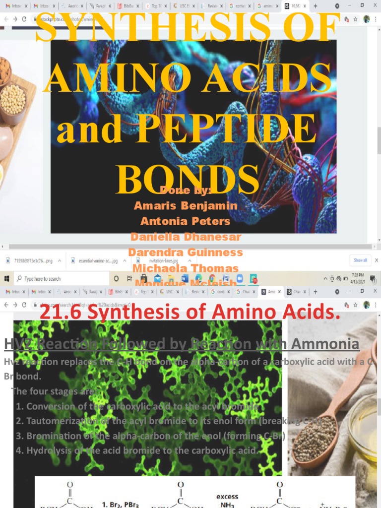 Synthesis of Amino Acids and Peptide Bonds | PDF | Cysteine | Amino Acid