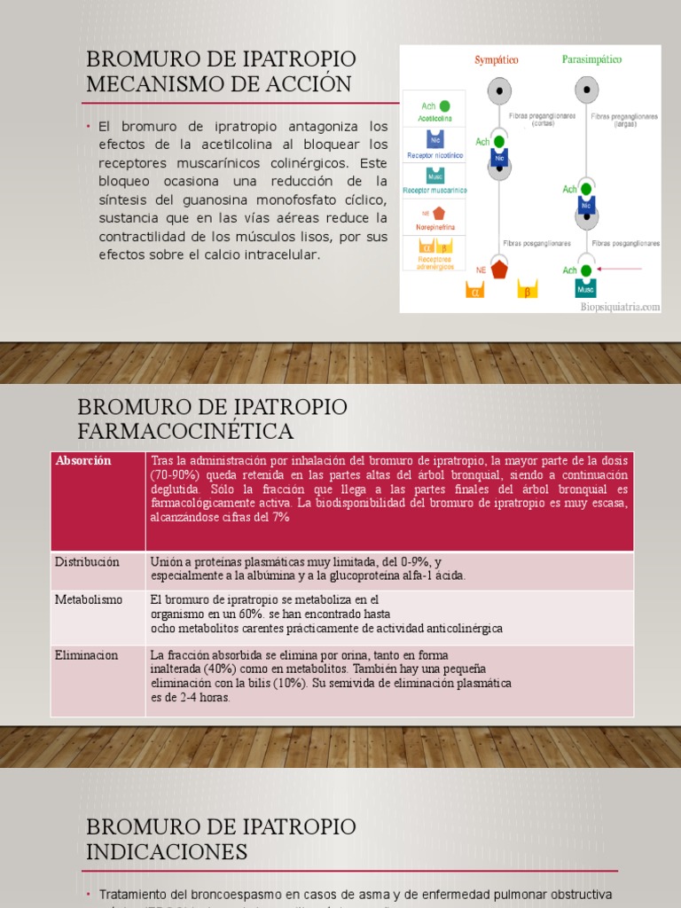 Mecanismo de Acción del Bromuro de Ipratropio | PDF | Relaciones ...