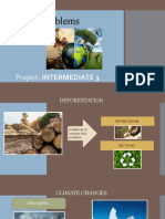 Global Problems: Project-INTERMEDIATE 3