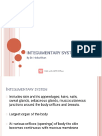 Integumentary System