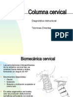 Columna Cervical