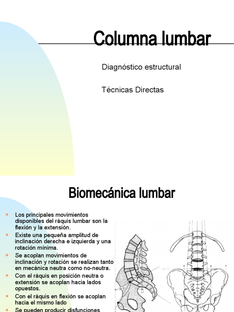 Biomecánica y evaluación de columna lumbar | PDF | La columna vertebral ...