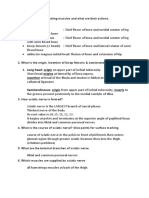 Hamstring Muscles, Sciatic Nerve, Popliteal Fossa