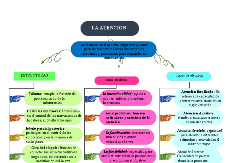 La atención: proceso cognitivo para orientarnos hacia estímulos ...