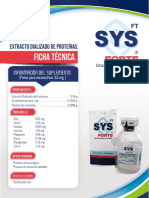 FICHAS SYS forte (2)