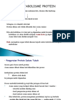 Metabolisme Protein