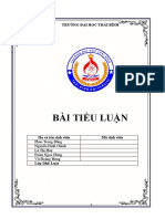 Bài Tiểu Luận