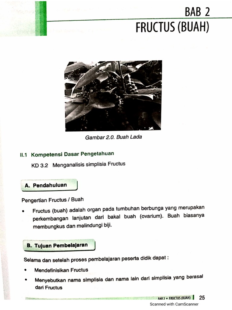 Farmakognosi Bab Fructus: Capsici Frutescentis Fructus – CTHNMI
