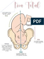 Estatica Fetal)