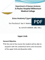ST - Paulos Hospital Millennium Medical College: Gross Anatomy:Upper Limb