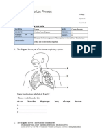 The Diagram Shows Part of The Human Respiratory System.: Código: PGA-R23 Vigencia: Septiembre 2017 Versión:1