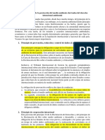 Principios Internacionales Del Derecho Ambiental