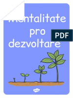 Mentalitate Pro Dezvoltare - Planse Motivationale