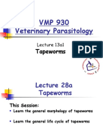 VMP 930 Veterinary Parasitology: Tapeworms