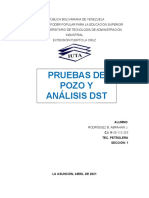 Pruebas de Pozo y Análisis DST