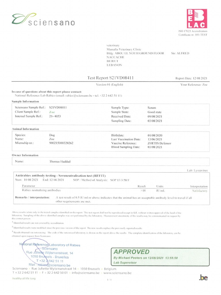 ZOE Blood Test | PDF