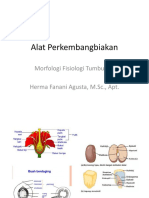 Morfistum Alat Perkembangbiakan