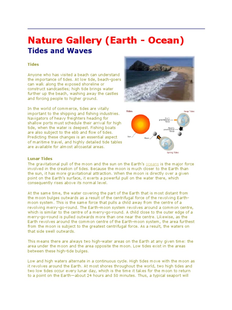 Tide and Wave | PDF | Tide | Moon