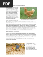 Download Berternak Ayam Kampung Secara Sehat by Afrisan Marbun Banjar Nahor SN52893682 doc pdf