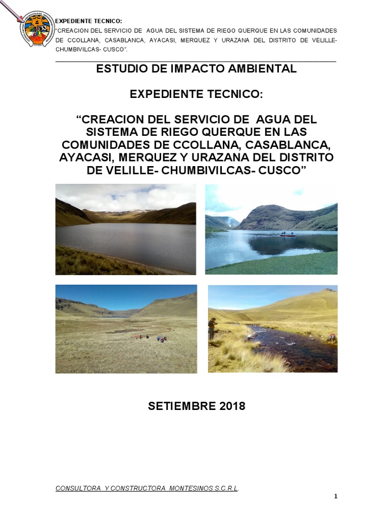 Estudio de Impacto Ambiental Querque | PDF | Entorno natural