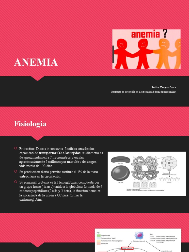 Tipos de Anemia y Clasificación | PDF | Glóbulo rojo | Especialidades ...