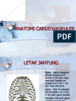 Anatomi Cardiovaskuler